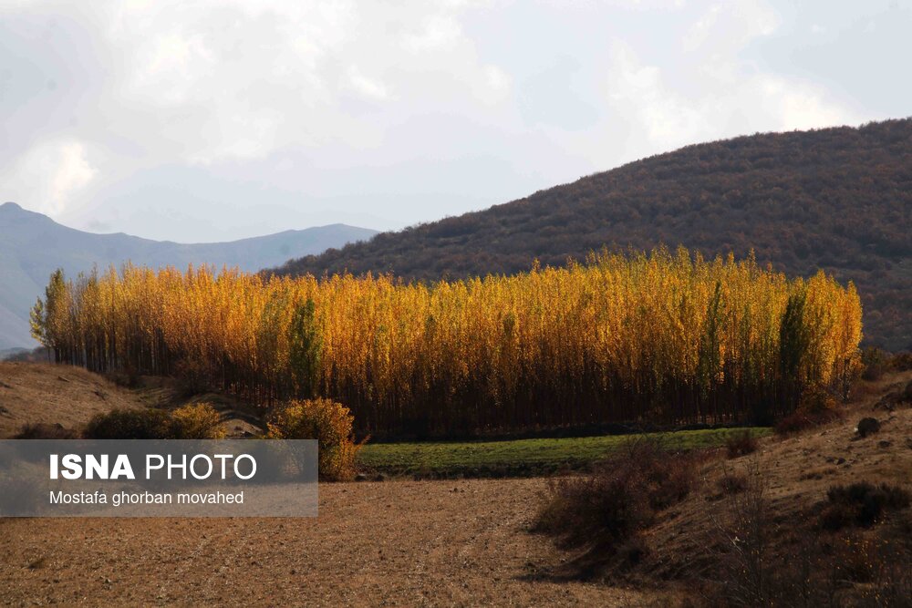 پاییز هزار رنگ در مناطق روستایی و عشایری اهر