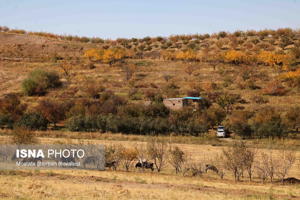 پاییز هزار رنگ در مناطق روستایی و عشایری اهر