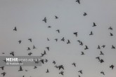 بازگشت دوباره آلاینده ها به آسمان کلانشهرها