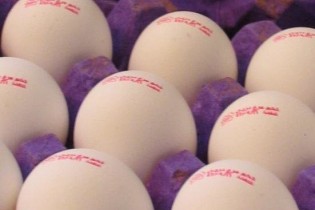 آیا تخم مرغ تنظیم بازاری وارد بازار شده است؟