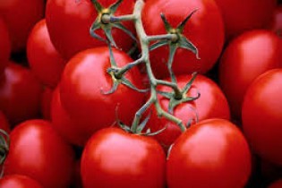 نوسان ۲۳۰ درصدی قیمت گوجه فرنگی