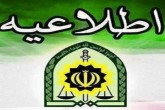 شبکه‌ سازمان یافته اخلالگران ارزی متلاشی شد