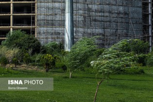 «باد» به داد «هوای تهران» رسید