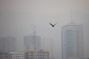 تشدید آلودگی هوای ۴کلانشهر/ احتمال برقراری شرایط بسیار ناسالم