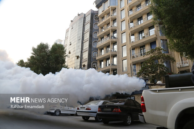 آغاز عملیات مه‌ پاشی علیه آئدس در کانون های مشاهده شده شهر بندرعباس
