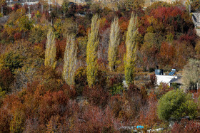 ایران زیباست؛ پاییز روستای «افجه»