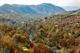 ایران زیباست؛ پاییز روستای «افجه»
