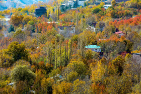 ایران زیباست؛ پاییز روستای «افجه»