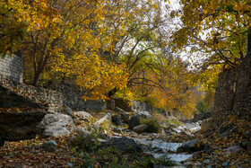 ایران زیباست؛ پاییز روستای «افجه»