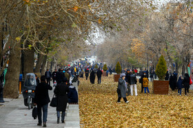 گذر پاییزی خیابان بوعلی - همدان