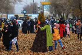 گذر پاییزی خیابان بوعلی - همدان