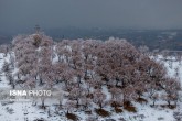 برف و باران در شمال کشور/ تشدید آلودگی هوای ۵ کلانشهر