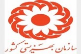 سهم ۱۷ هزار میلیاردی بهزیستی از بودجه ۱۴۰۱