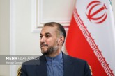 تاکید امیرعبداللهیان برنقش سازمان همکاری اسلامی درحل مشکلات منطقه