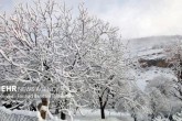 هوا تا یک شنبه سرد می‌شود/ ‏بارش‬ برف در تهران