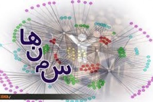 معاون ستادمبارزه با موادمخدر: سمن‌ها هزینه‌های "اشتباه" نداشته باشند