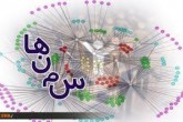 معاون ستادمبارزه با موادمخدر: سمن‌ها هزینه‌های "اشتباه" نداشته باشند