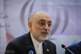 سردار سلیمانی تک‌روی نمی‌کرد/ حاج قاسم یک دولت‌مرد بود