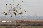 هوای امروزِ تهران؛ «ناسالم برای گروه‌های حساس»