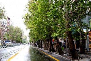 آرام سازی و بهسازی بصری خیابان ولیعصر در دستور کار قرار گرفت