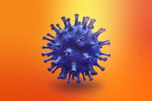 نکته جدید درباره ویروس کرونا