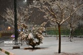 تصاویر / بارش برف در شهر اراک  <img src="/images/picture_icon.gif" width="16" height="13" border="0" align="top">