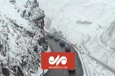 یک فوتی و ۲ مصدوم پس از سقوط بهمن در محور چالوس