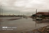 تصاویر / بارش باران در بندرعباس  <img src="/images/picture_icon.gif" width="16" height="13" border="0" align="top">