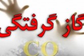 کاهش ۱۳ درصدی تلفات مسمومیت با گاز منوکسیدکربن در ۹ ماه امسال