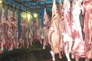 علت افزایش قیمت گوشت مشخص شد/ تغییری در قیمت دام زنده نداشتیم