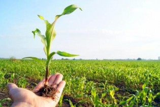 کاهش ضایعات کشاورزی با بهبود فرآیند تولید تا مصرف