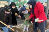۱۵ هزار اصله نهال در محدوده منطقه ۱۳ سبز می‌شود