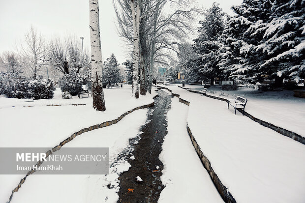 بارش شدید برف در همدان