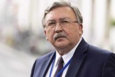 اولیانوف: مذاکرات در مرحله نهایی است/ به عزم و تلاش از سوی تمام طرفها نیاز است اولیانوف: مذاکرات در مرحله نهایی است/ به عزم و تلاش از سوی تمام طرفها نیاز است