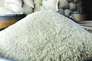 پیشنهاد یک عضو کمیسیون کشاورزی مجلس برای کنترل بازار برنج