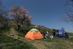 روز طبیعت - همدان