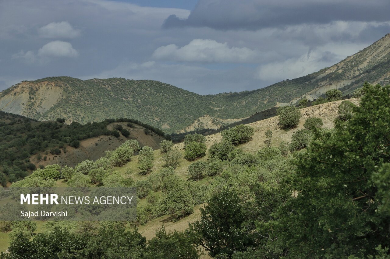 طبیعت بهاری لرستان