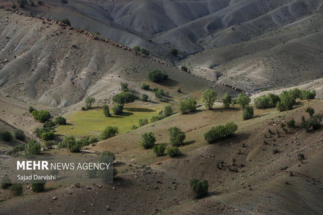 طبیعت بهاری لرستان