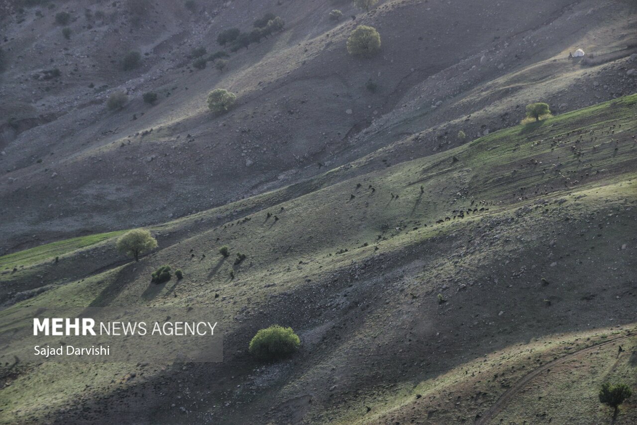 طبیعت بهاری لرستان