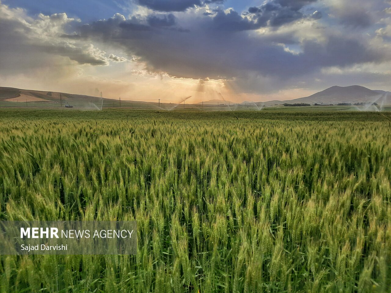 طبیعت بهاری لرستان