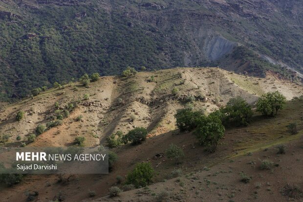 طبیعت بهاری لرستان