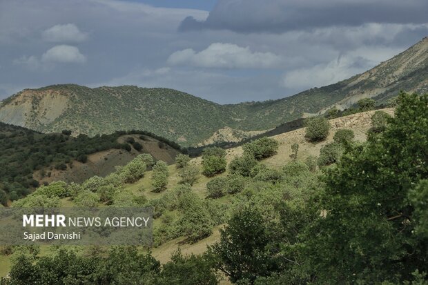 طبیعت بهاری لرستان