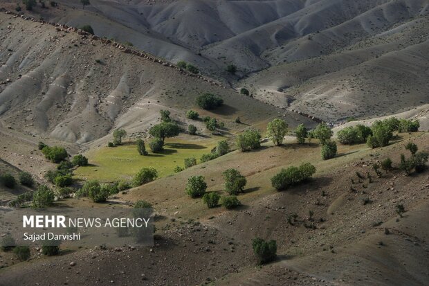 طبیعت بهاری لرستان