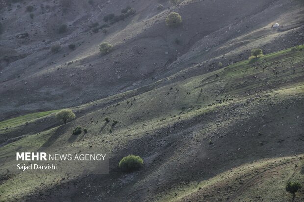 طبیعت بهاری لرستان