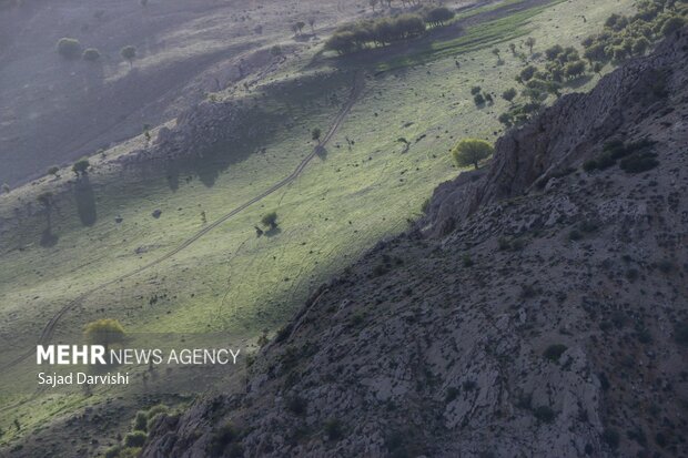 طبیعت بهاری لرستان