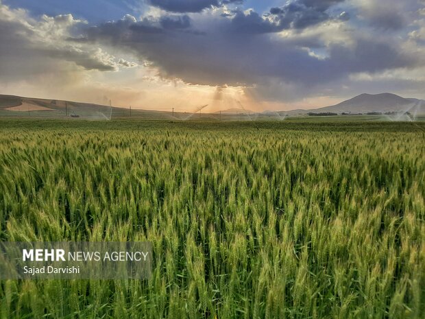 طبیعت بهاری لرستان