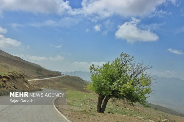 طبیعت بهاری لرستان