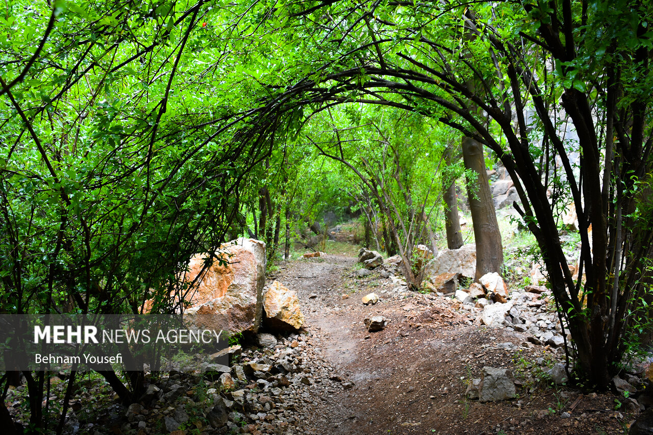 روستای پالنگان کردستان، نگینی بر قلب کوه های ژاورود