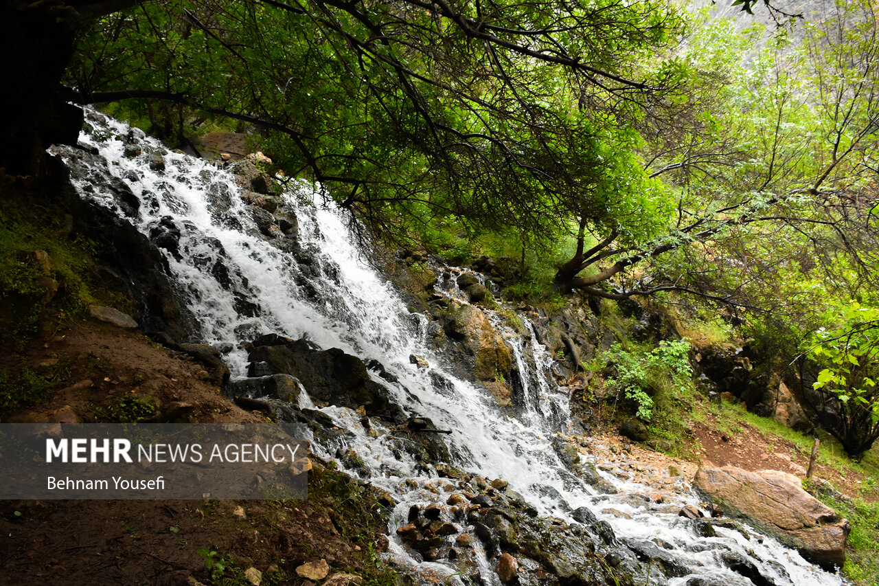 روستای پالنگان کردستان، نگینی بر قلب کوه های ژاورود