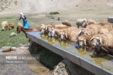 تصاویر / روستاهای محروم خراسان شمالی  <img src="/images/picture_icon.gif" width="16" height="13" border="0" align="top">
